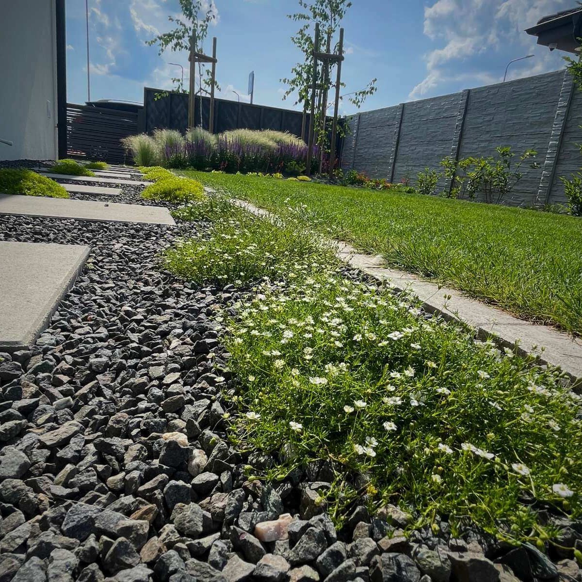 Moderná záhrada od Dream Garden – kombinácia spevnenej plochy z dlažby a hustého zeleného trávnika