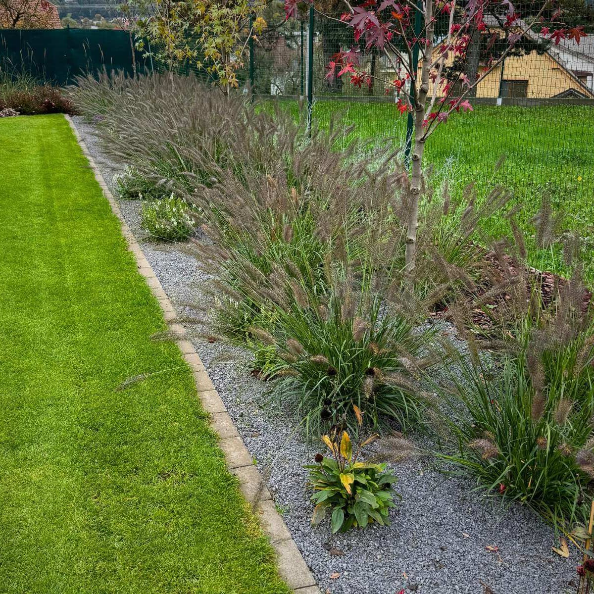 Trvalkové záhony s levanduľou v modernej záhrade od Dream Garden
