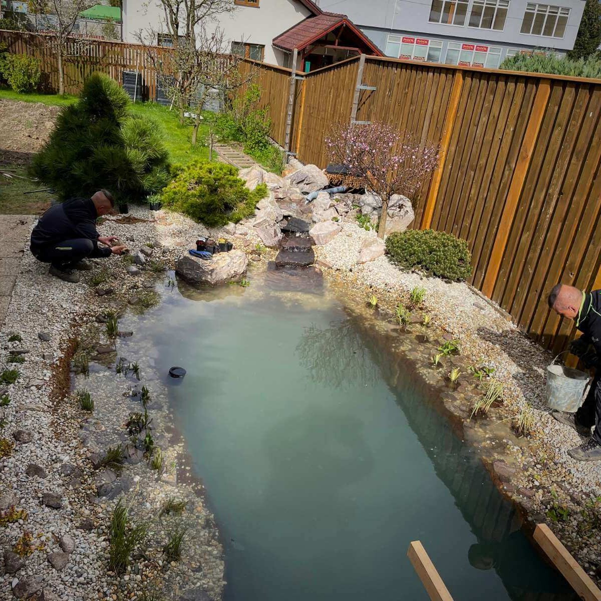Finálne úpravy záhradného jazierka od Dream Garden – detailná modelácia okrajov, výsadba rastlín, úprava kameňov