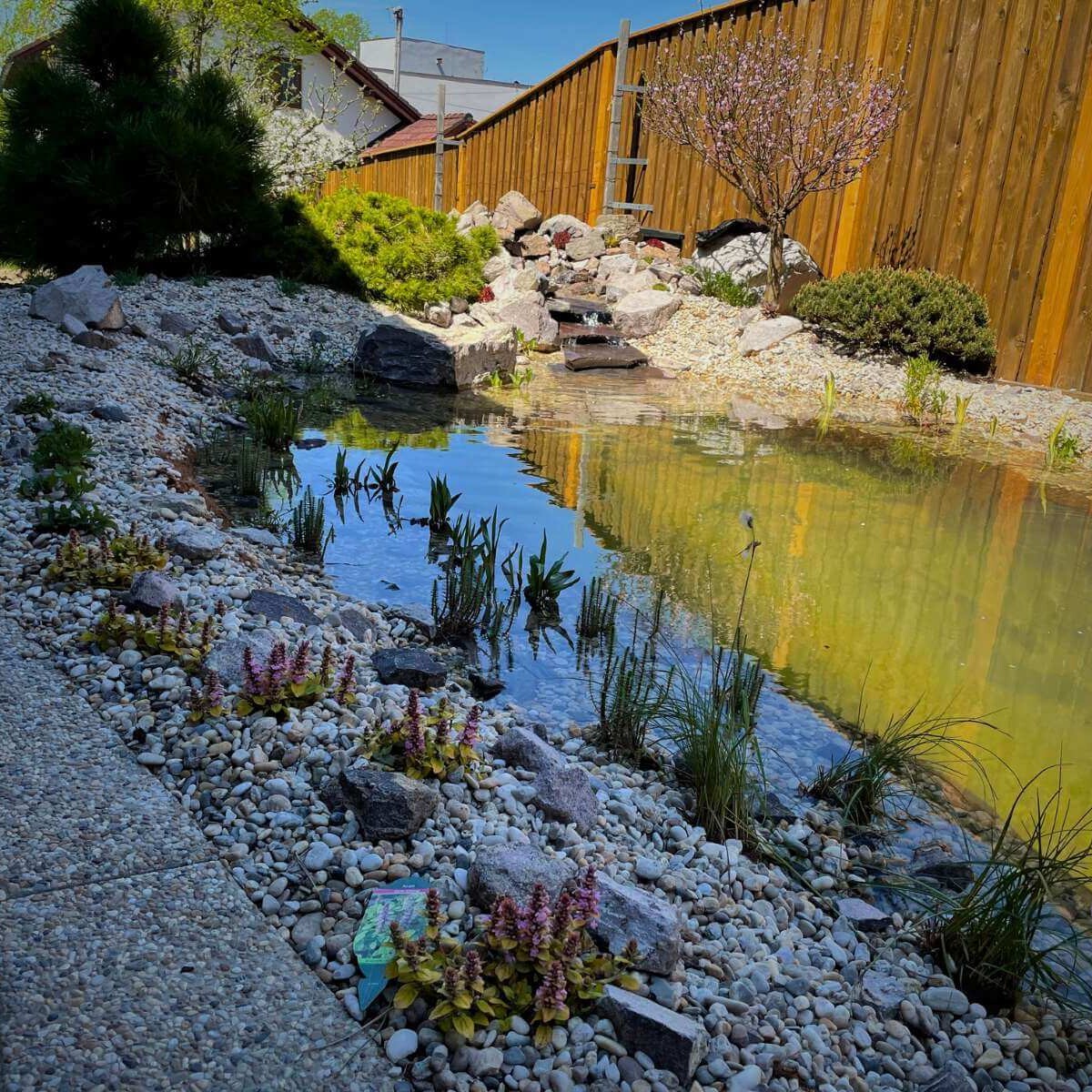 Realization of a garden pond in Rosina by Dream Garden - design, shape modeling, laying of foil, planting of aquatic and ornamental plants