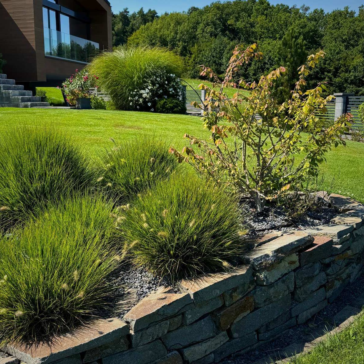 Complete exterior implementation in Zvolen - landscaping, planting plants, installation of an irrigation system and lighting from Dream Garden