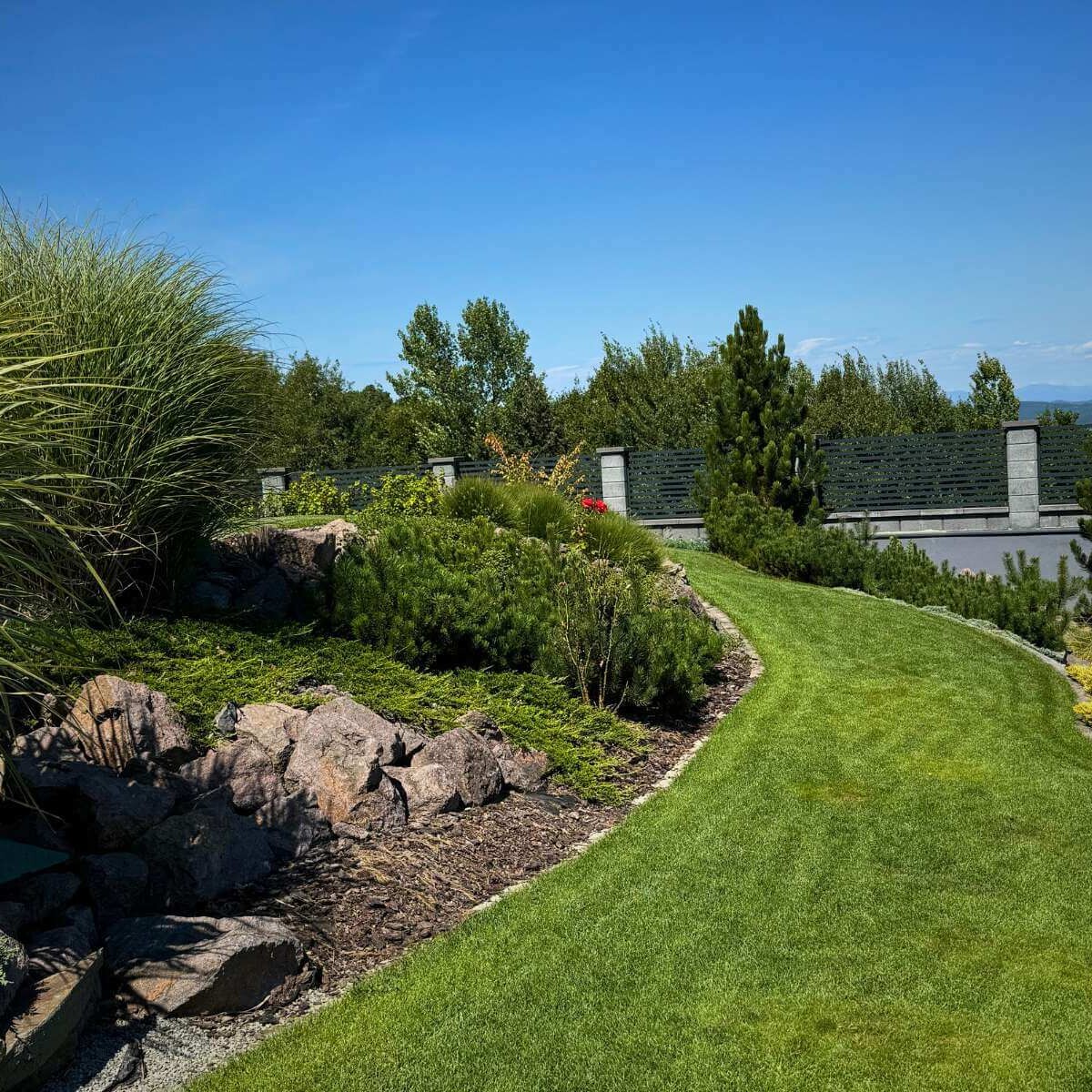 The final dense green lawn in the garden after professional implementation by Dream Garden