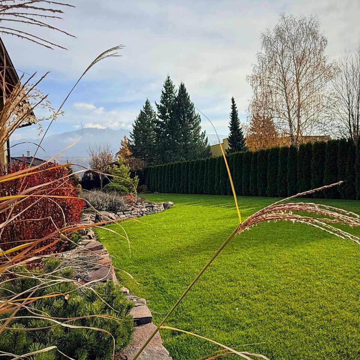 Okrasné trávy a trávnik v záhrade na kľúč.