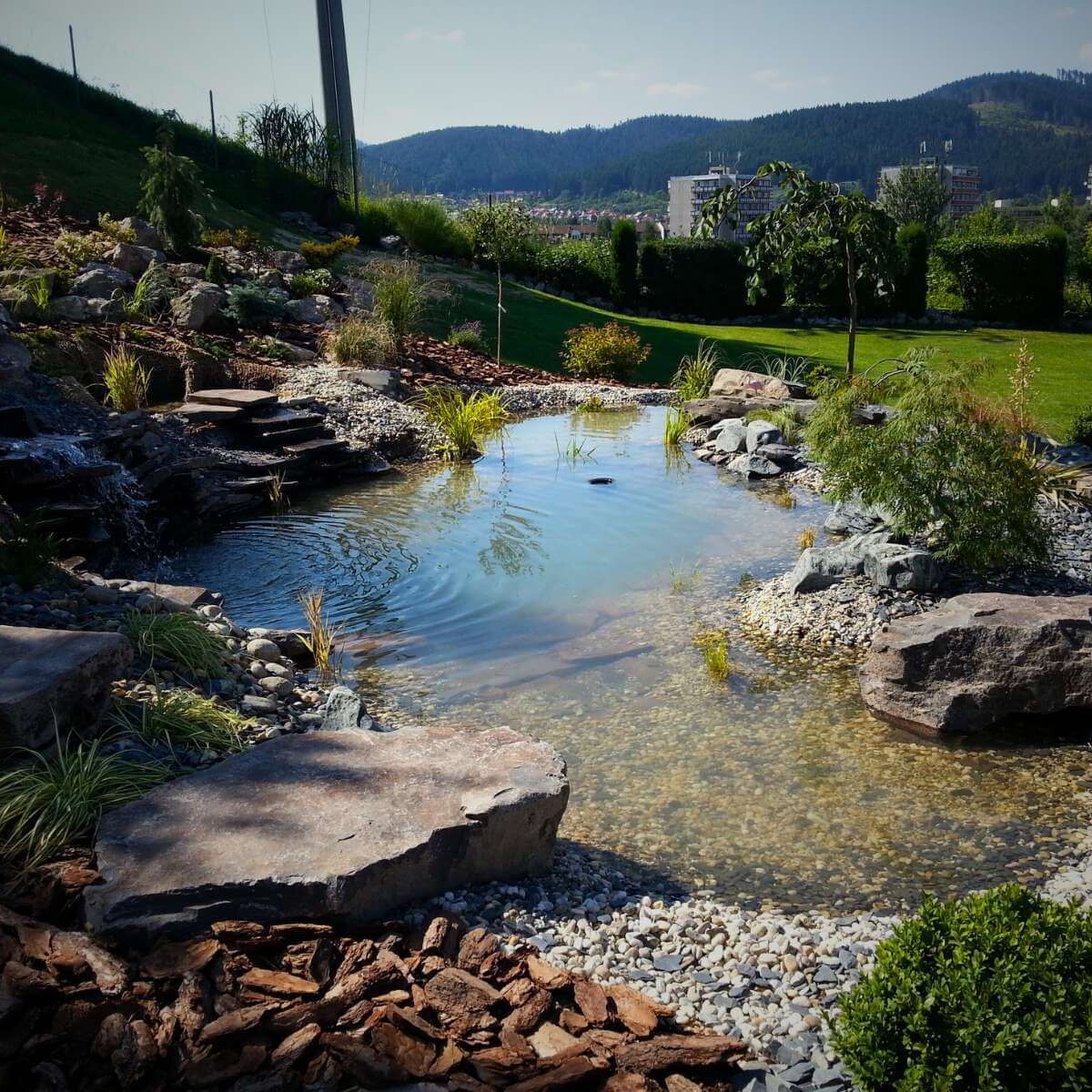 Garden pond with plantings from Dream Garden - a modern water feature with plantings of aquatic and ornamental plants