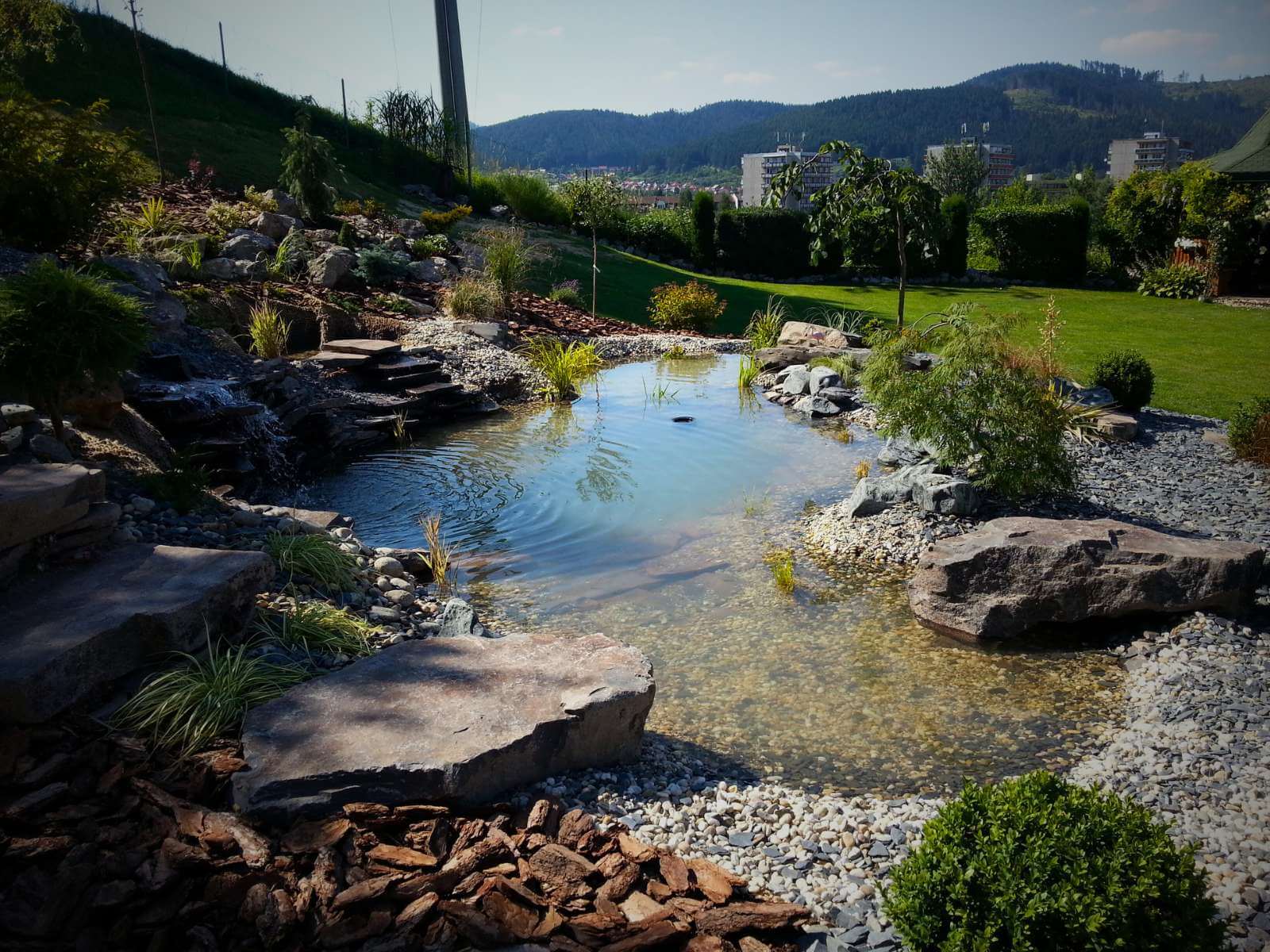 Garden pond with plantings from Dream Garden - a modern water feature with plantings of aquatic and ornamental plants