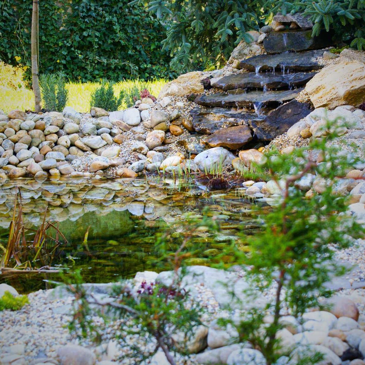 Realizácia záhradného jazierka od Dream Garden – profesionálny záhradný dizajn