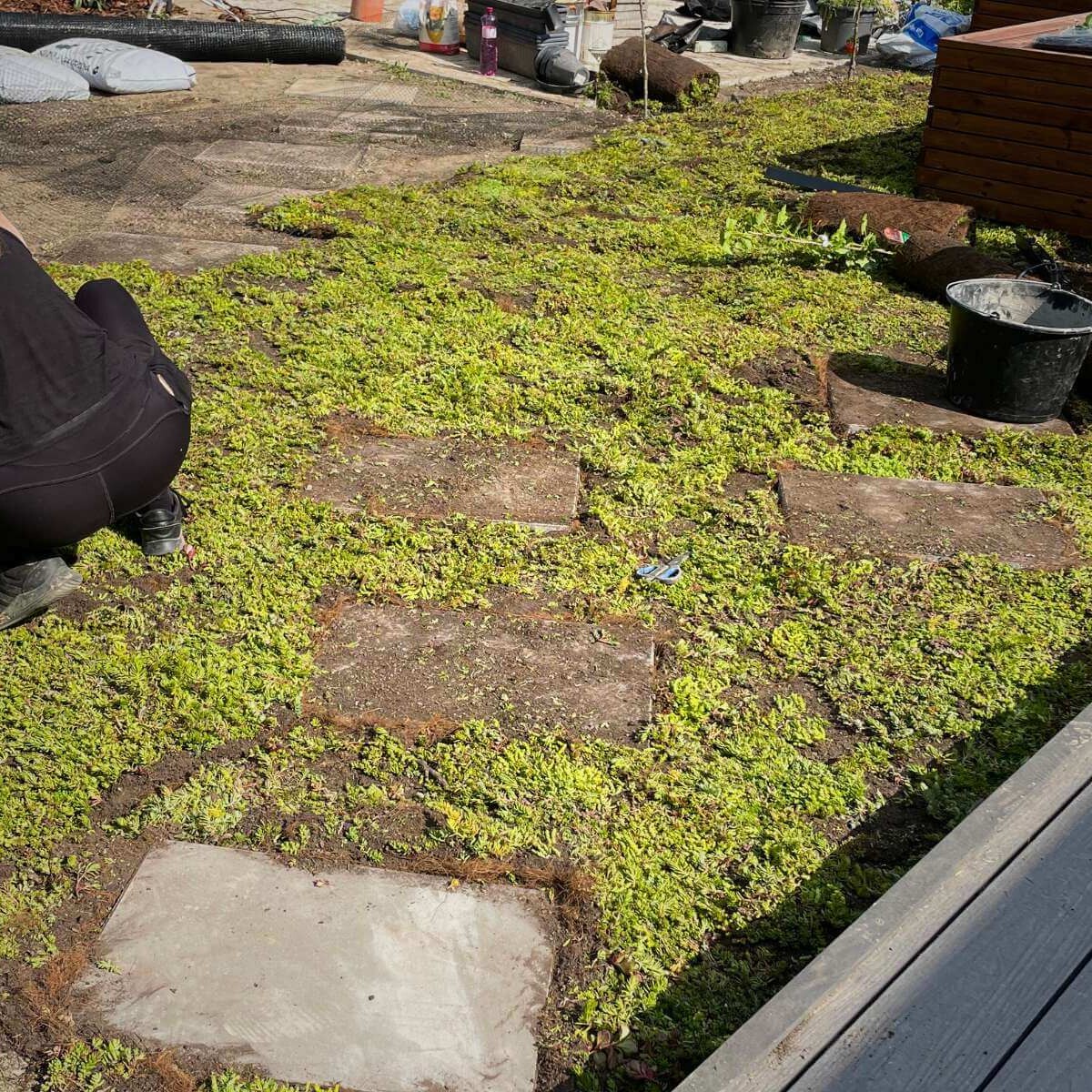 Planting plants in the garden from Dream Garden - professional planting of ornamental and useful plants when implementing exteriors