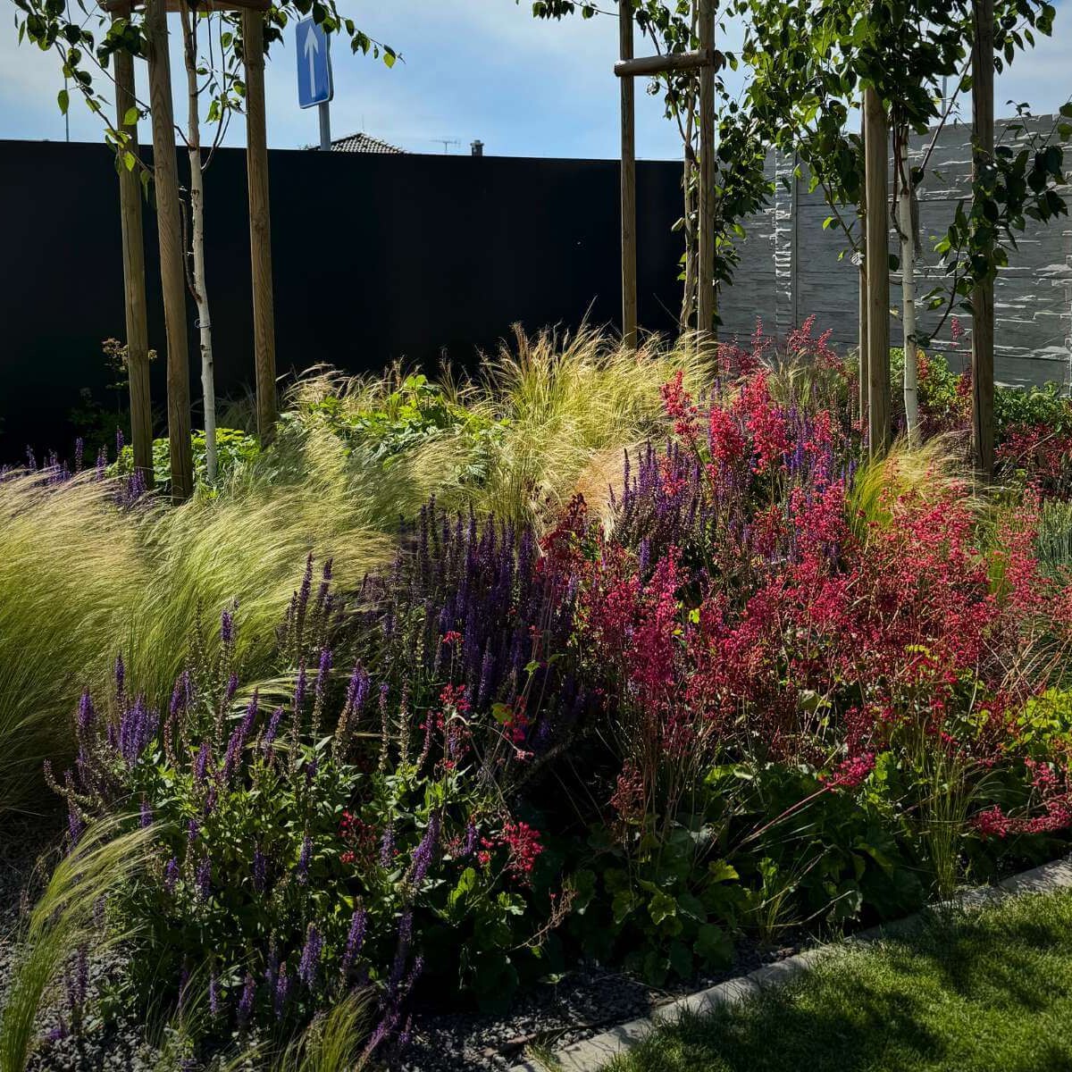 Diverse garden plants planted in the garden from Dream Garden – flowering perennials, ornamental shrubs and foliage