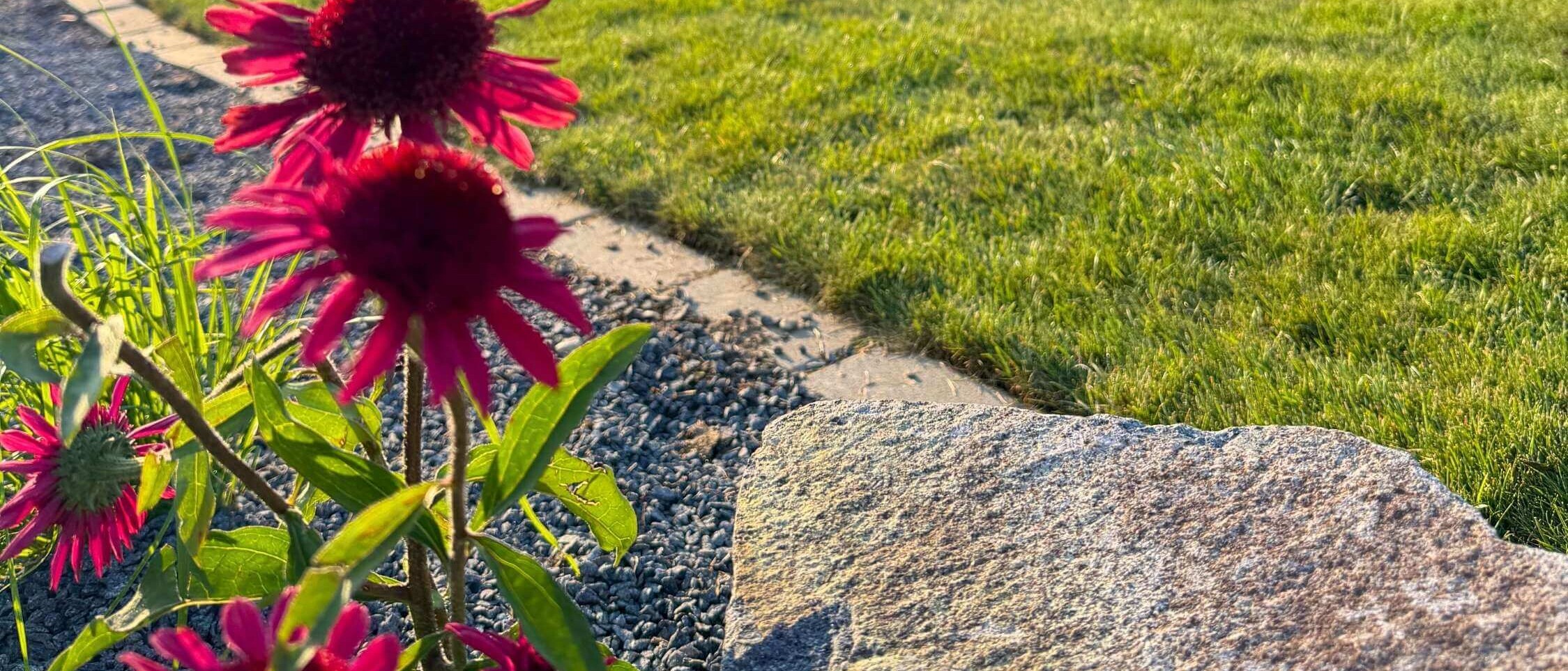 Dream Garden sa bez starostí postará o vašu záhradu