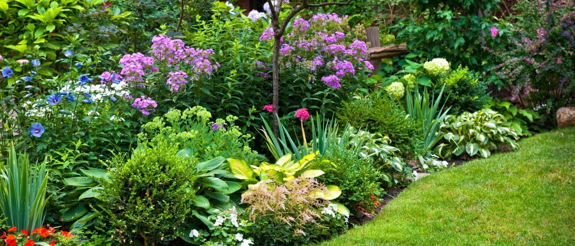 Garden beds with flowering plants and trimmed edges
