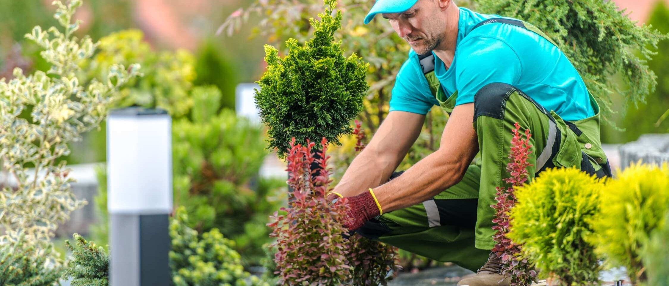 Turnkey garden implementation - planting of plants, landscaping and installation of irrigation system.