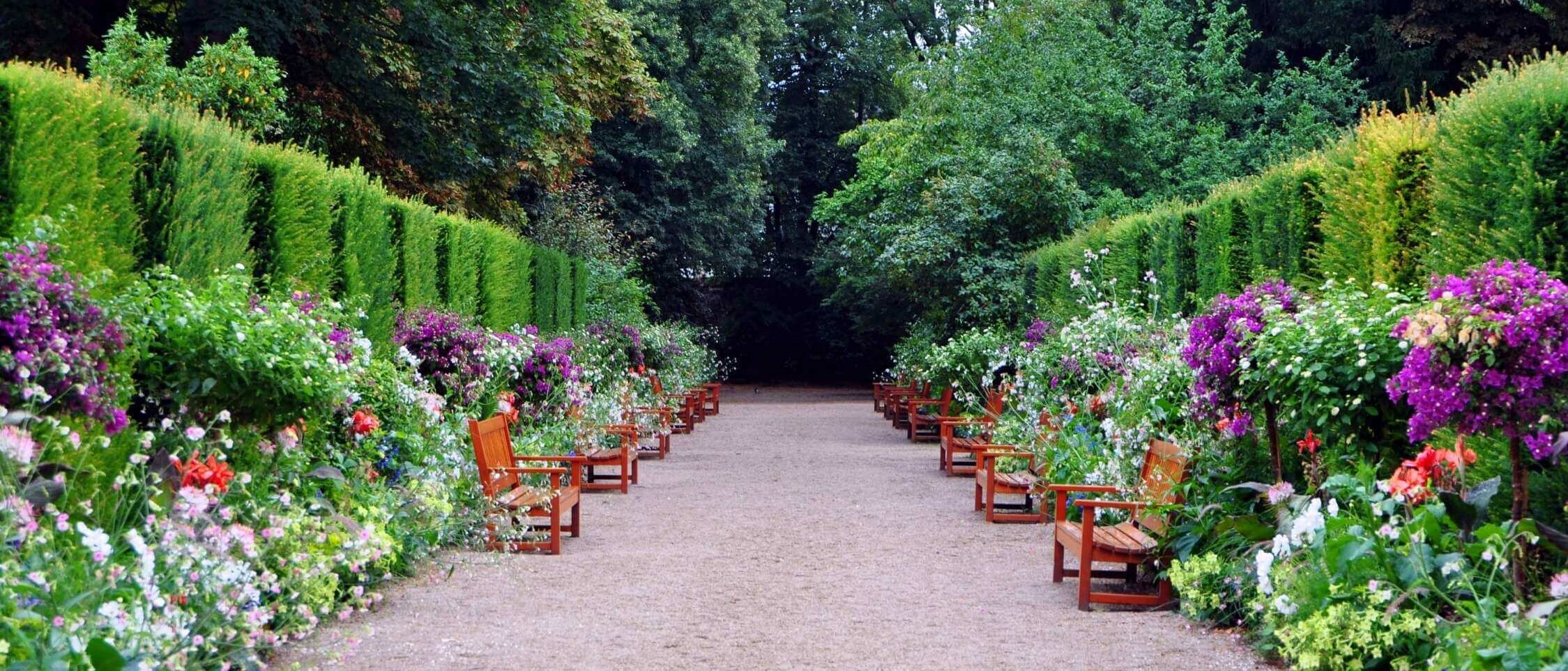 Hustý živý plot z okrasných kríkov ako prírodné ohraničenie záhrady od Dream Garden