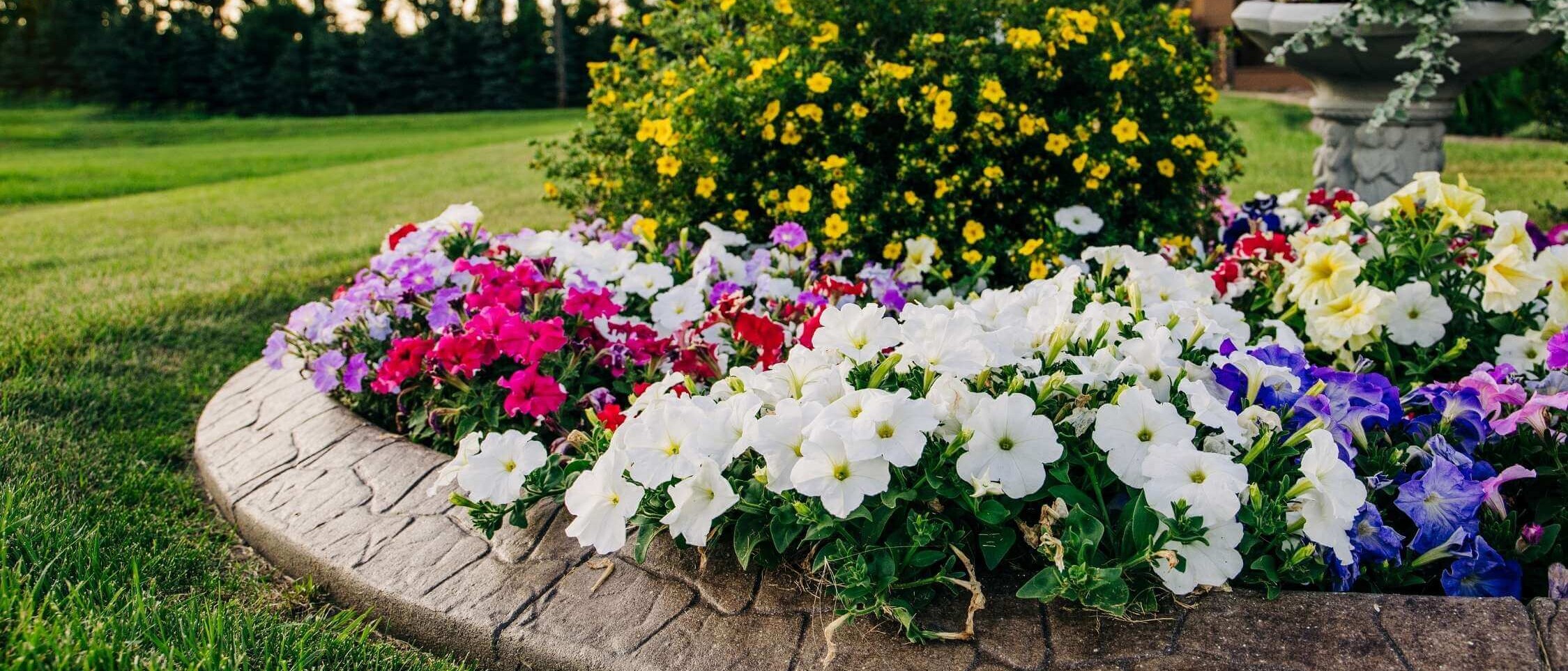 Kvitnúce záhony od Dream Garden