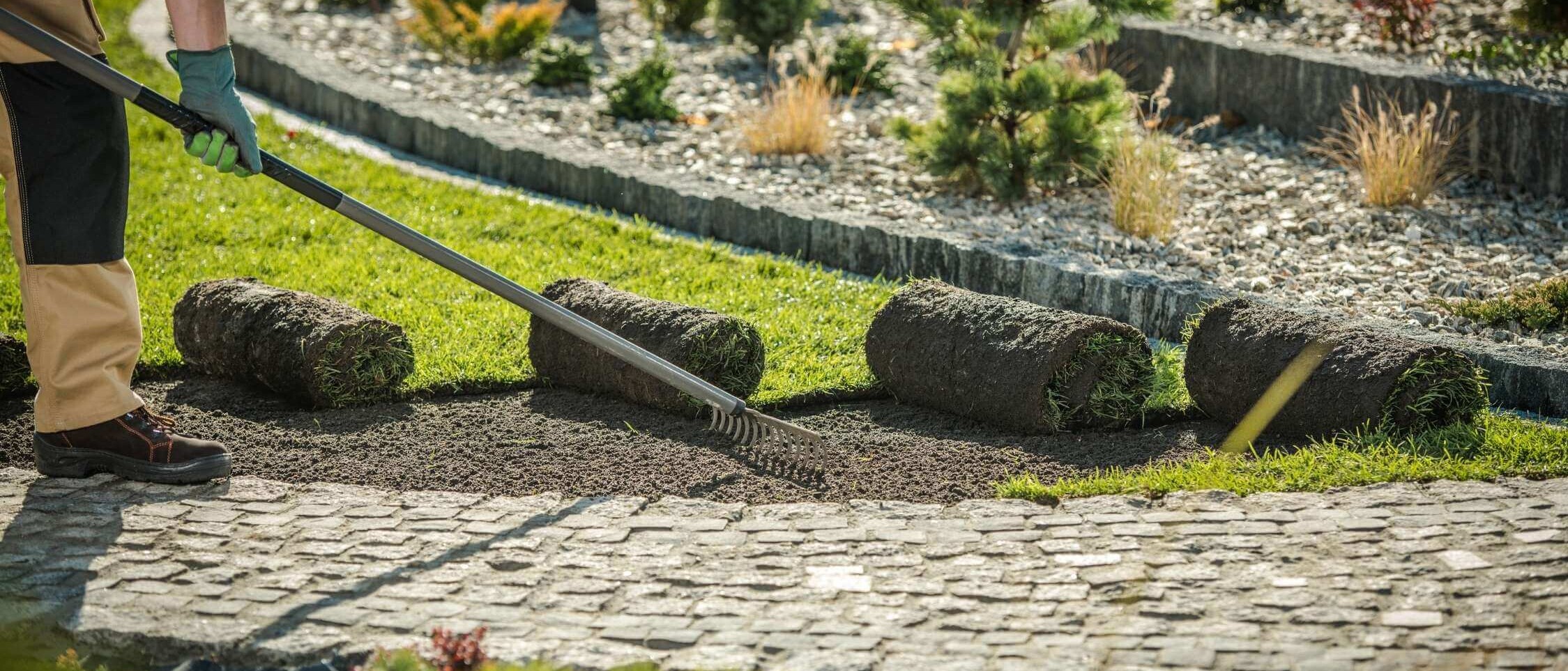 Lawn established by sodding – laying turf on prepared soil for an immediate green effect