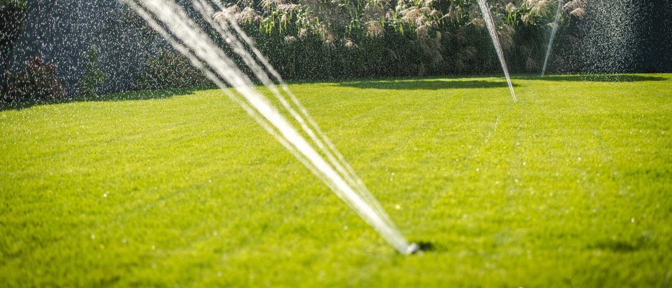 A healthy and lush garden with Hunter irrigation systems