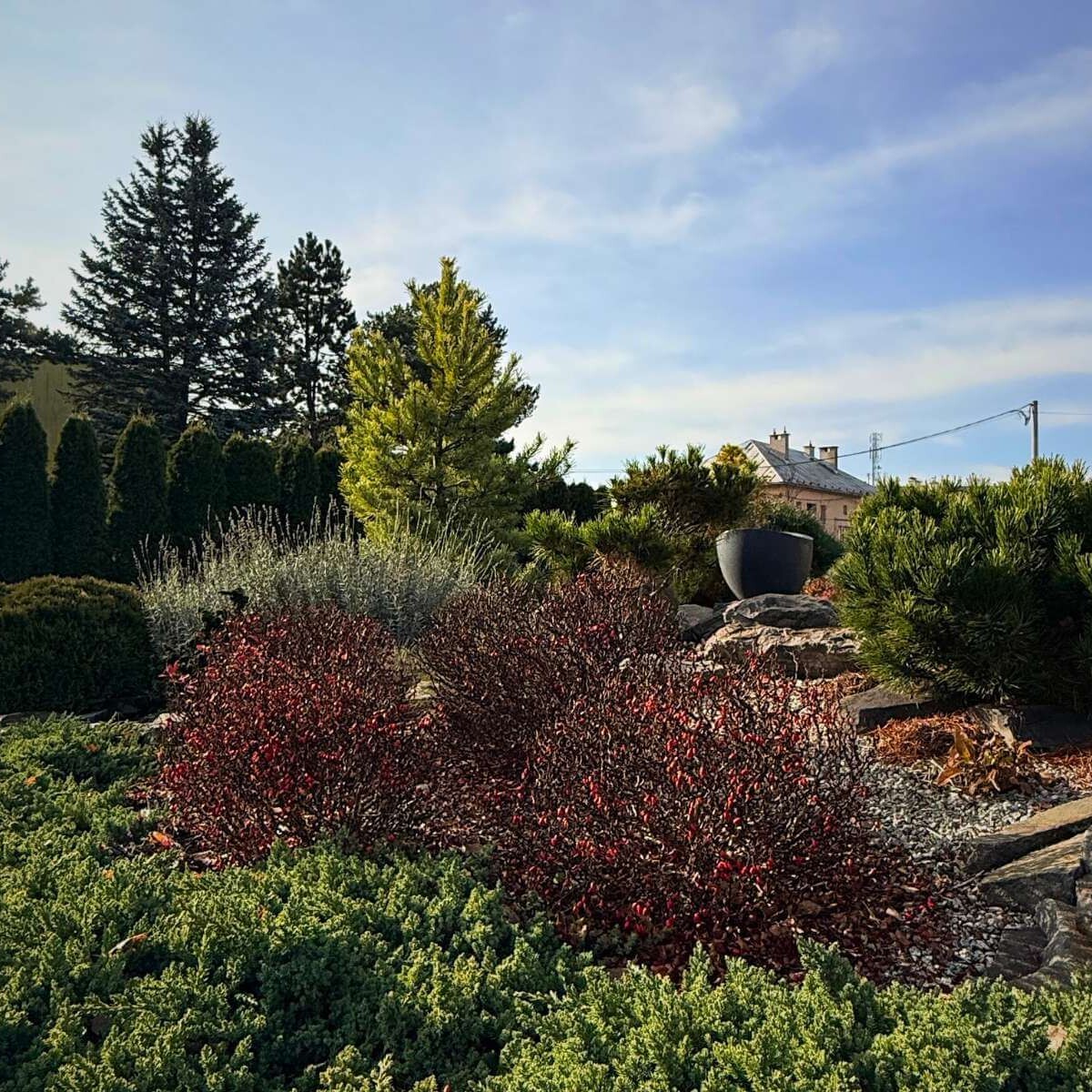 Krásne dreviny v záhrade od Dream Garden.