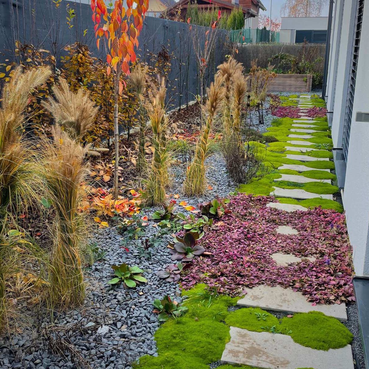 Modern garden from Dream Garden - a combination of garden paving and aesthetically planted plants for a harmonious exterior