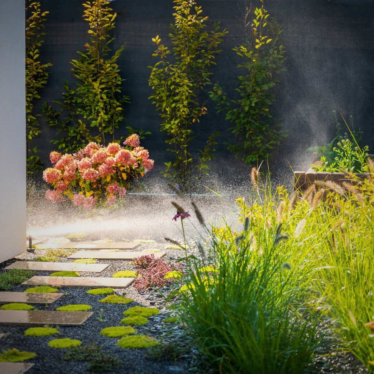 Realization of the complete exterior in Rosina by Dream Garden