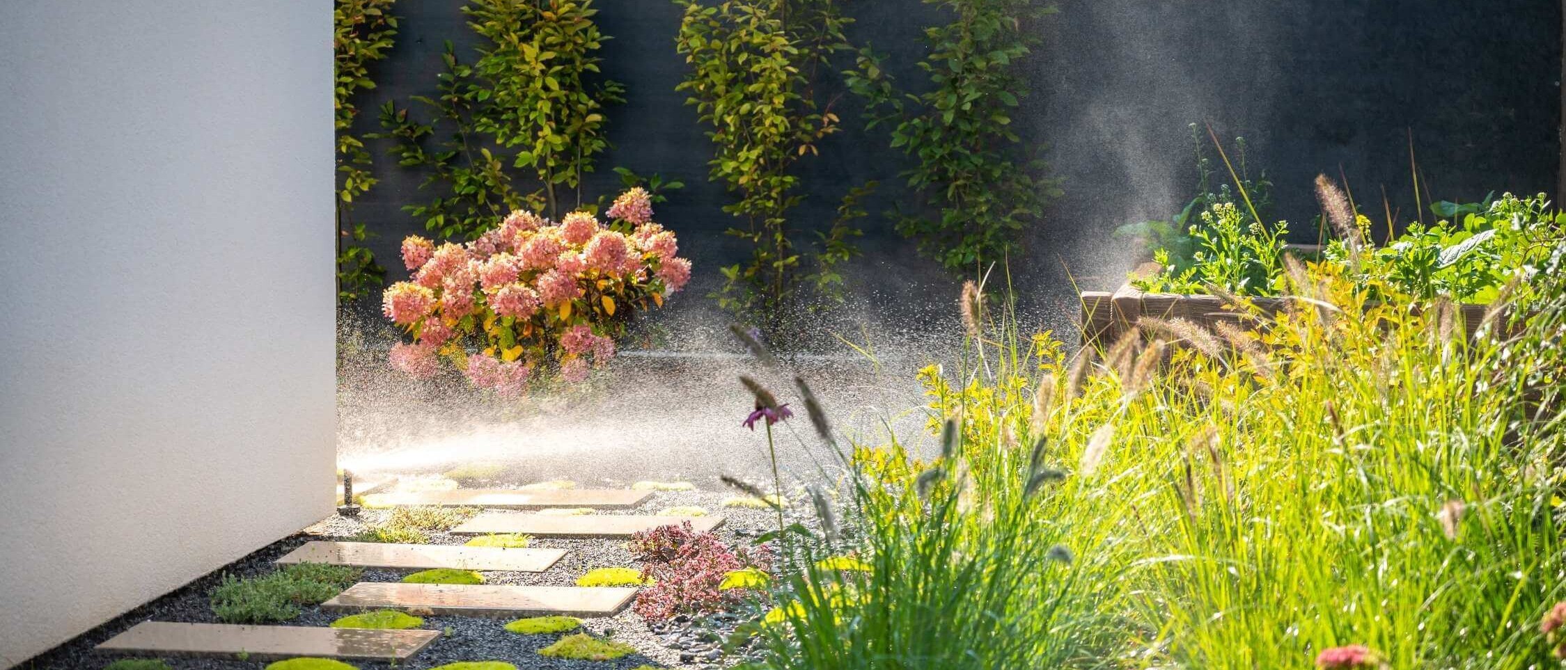 Dream Garden – dizajn, realizácia a údržba záhrad, zelených striech a exteriérov na mieru