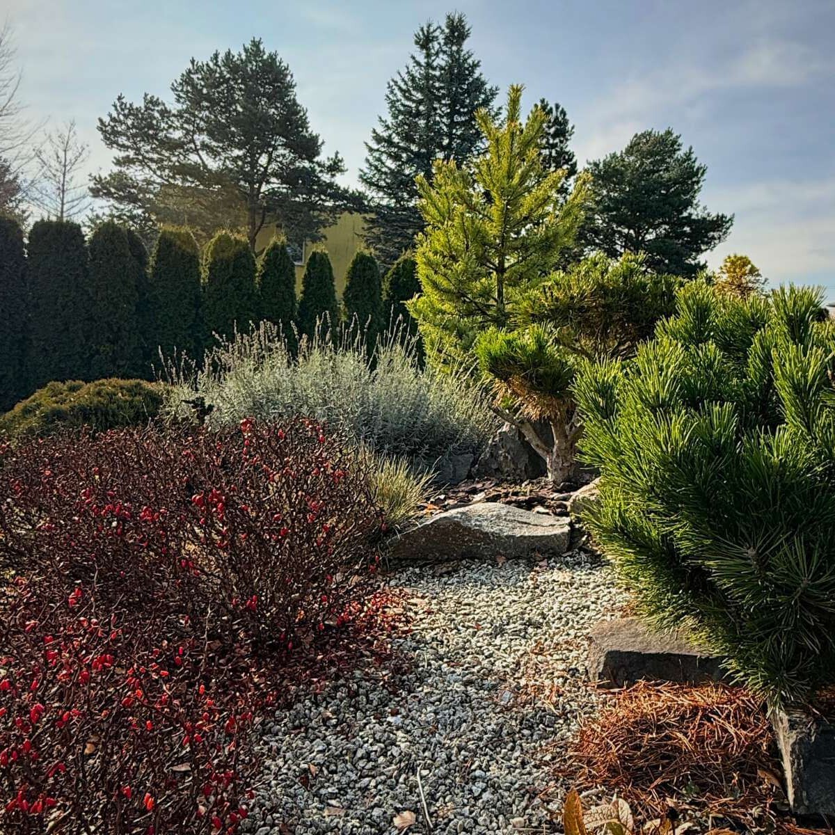Pohľad na výsadbu a dreviny v záhrade.