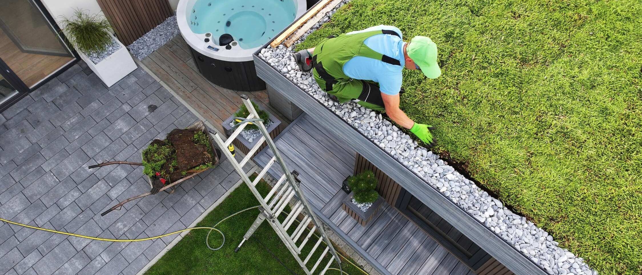 Extensive green roof with a thin substrate layer and drought-tolerant plants, low maintenance