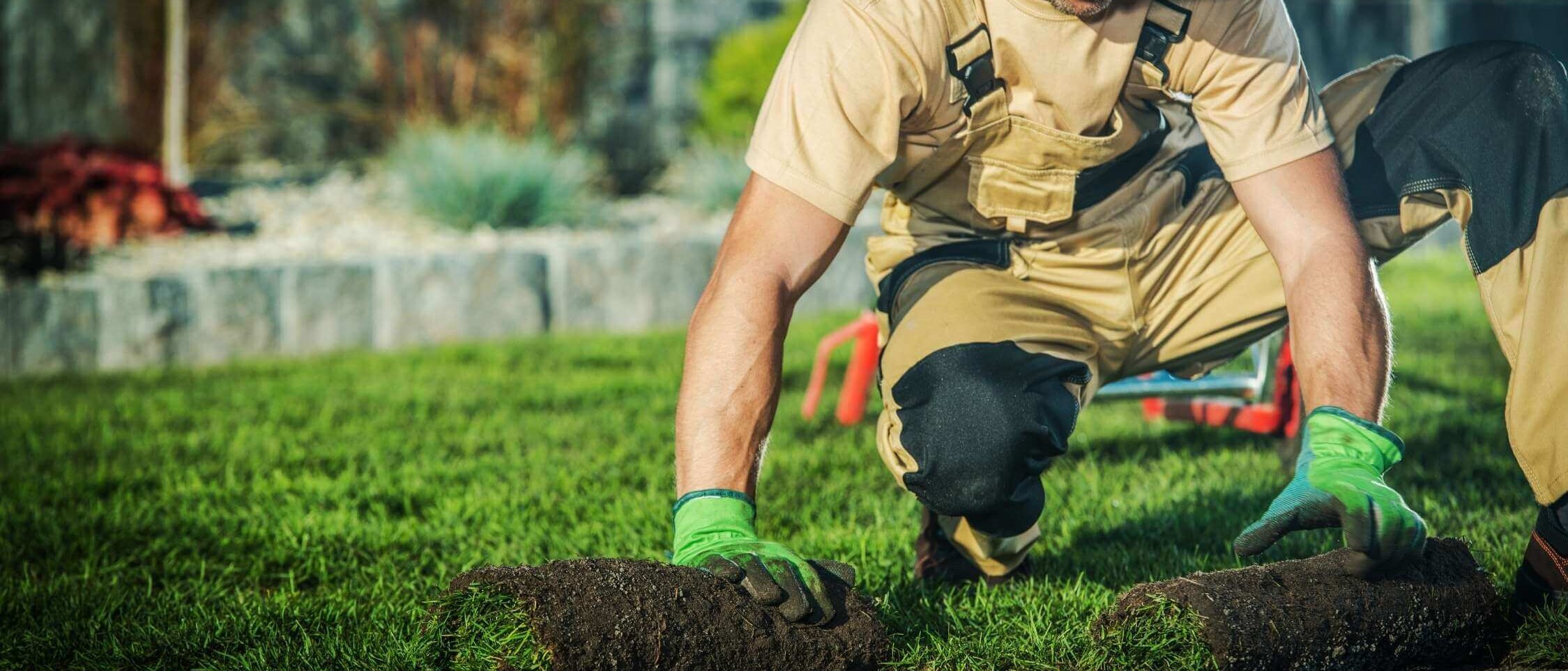 Garden modernization – lawn restoration, new flower beds, and design elements for a contemporary exterior look.