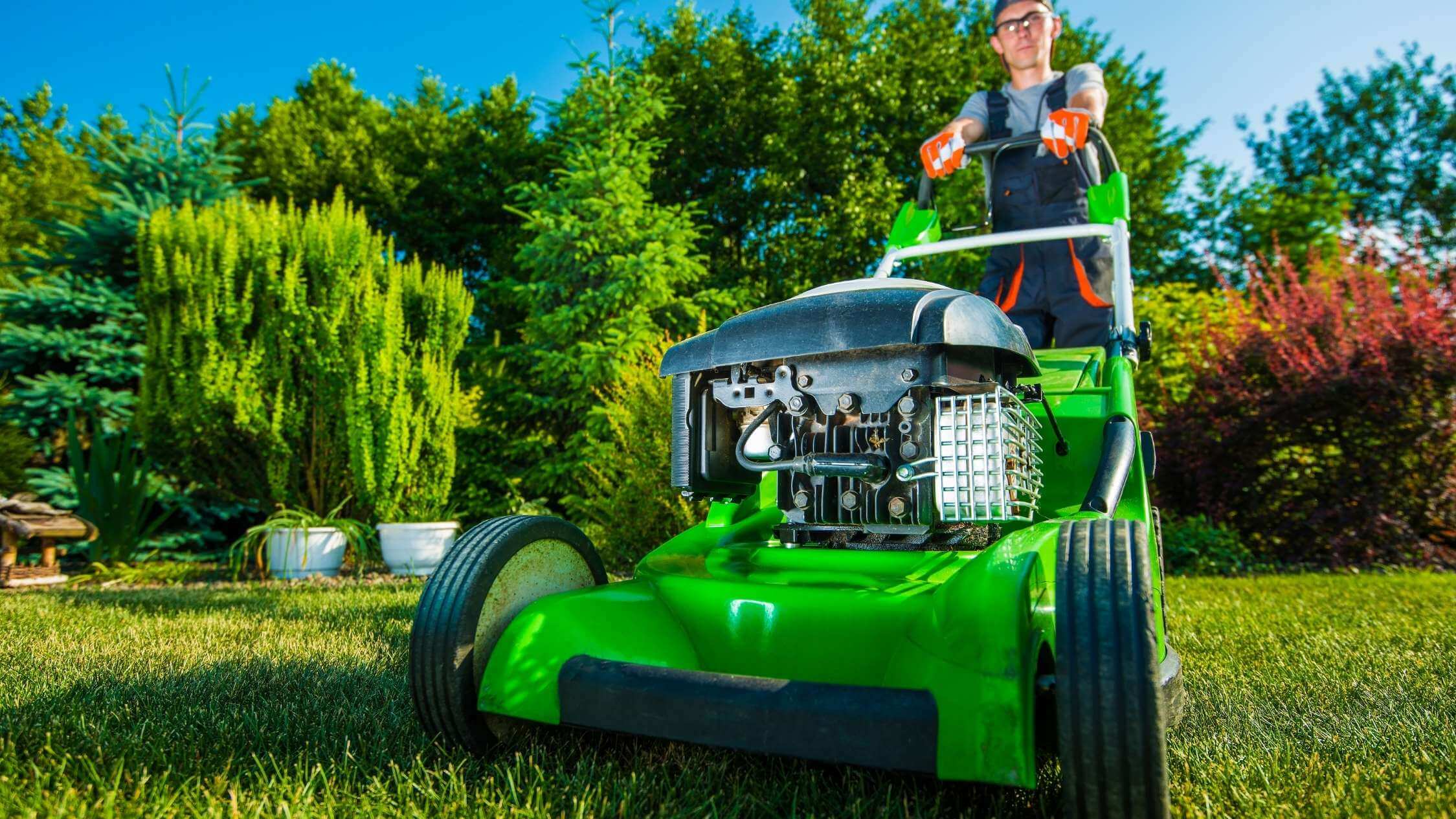 Lawn and garden maintenance – regular mowing, watering, fertilizing, and scarifying for a healthy and thick lawn