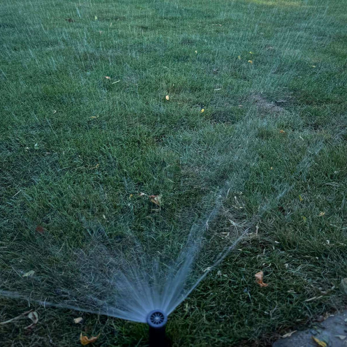 Hunter automatic irrigation system in a modern garden from Dream Garden