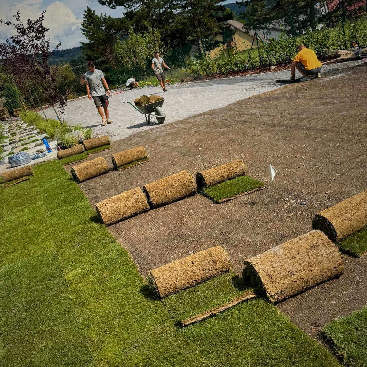 Laying carpet lawn in the garden from Dream Garden - p Reconstruction and modernization of the garden