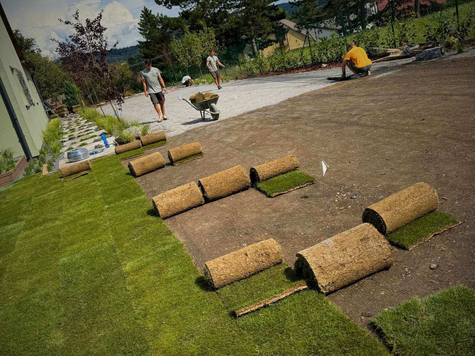Laying carpet lawn in the garden from Dream Garden - p Reconstruction and modernization of the garden