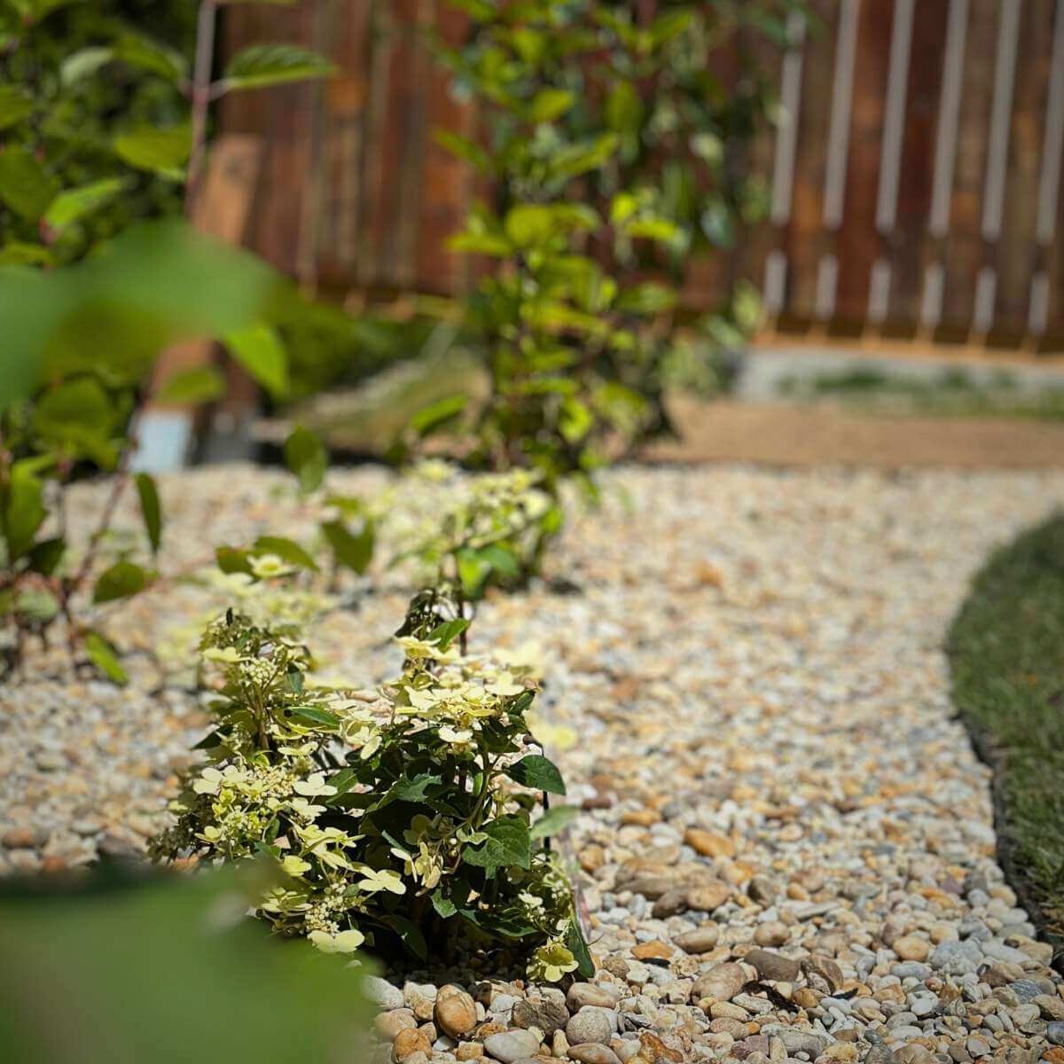 Realizácia výsadby rastlín v Rosine od Dream Garden.