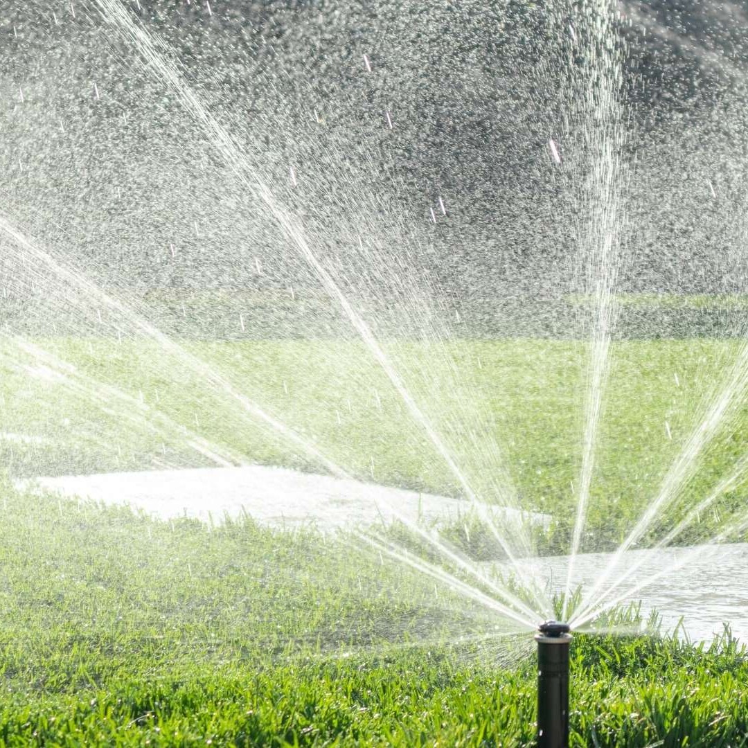 Hunter automatic irrigation system from Dream Garden.